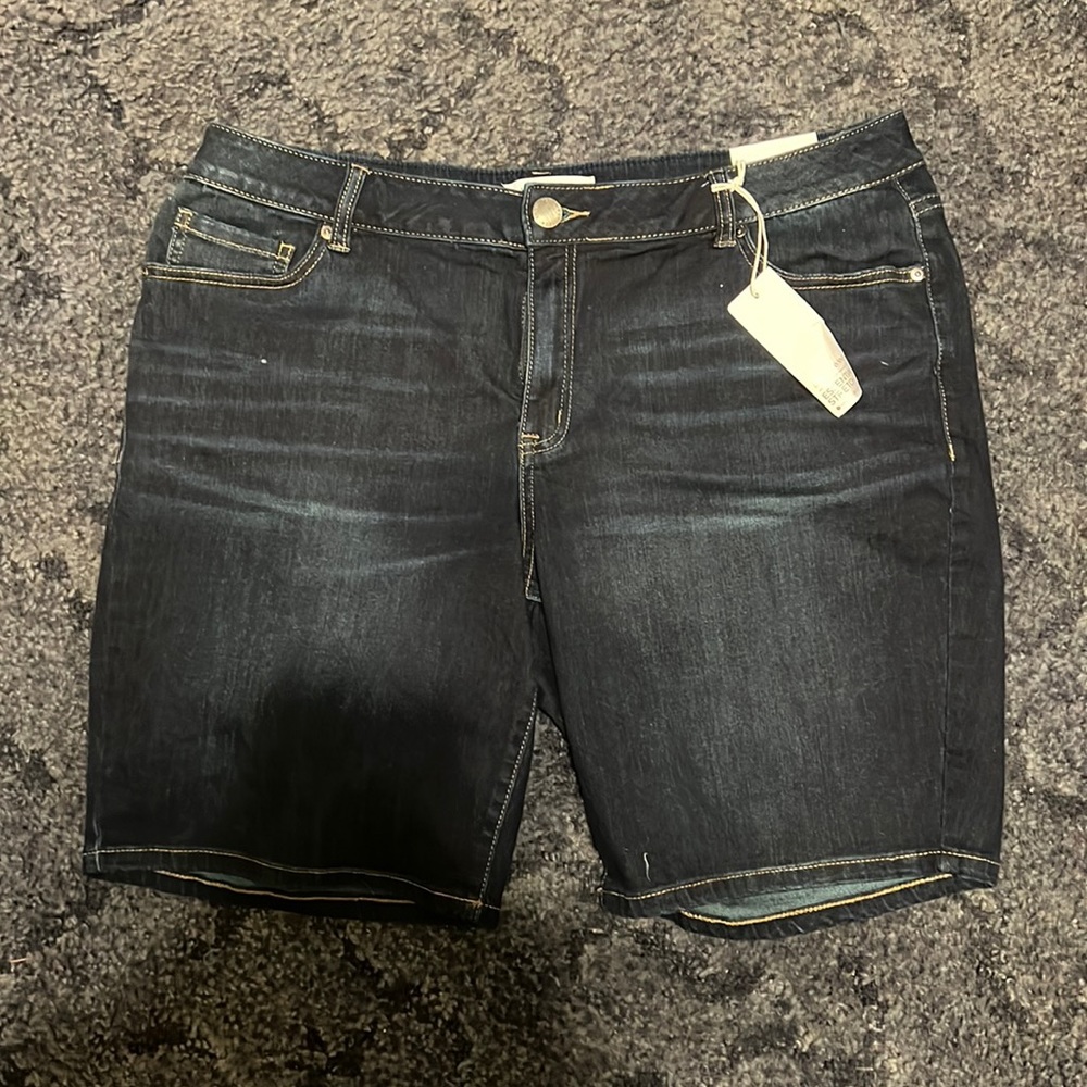 Lane Bryant Shorts
